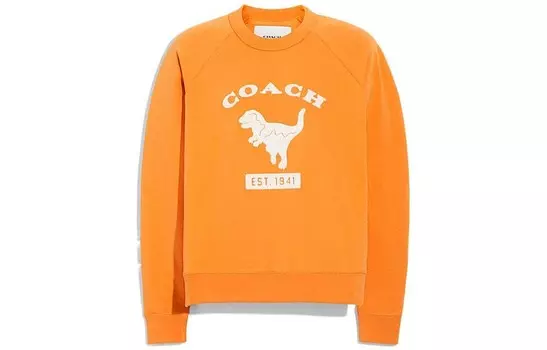 Толстовка мужская оранжевая Coach, оранжевый