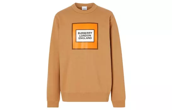 Толстовка мужская орехового цвета Burberry, цвет Nut color