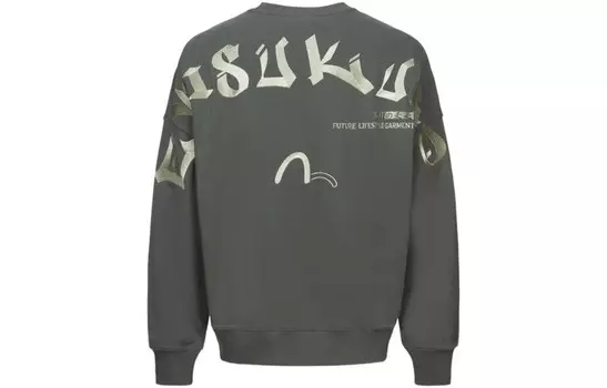 Толстовка мужская серая Evisu, серый