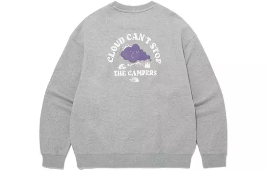Толстовка мужская серая The North Face, серый