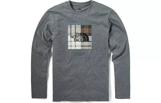 Толстовка мужская серая The North Face, серый