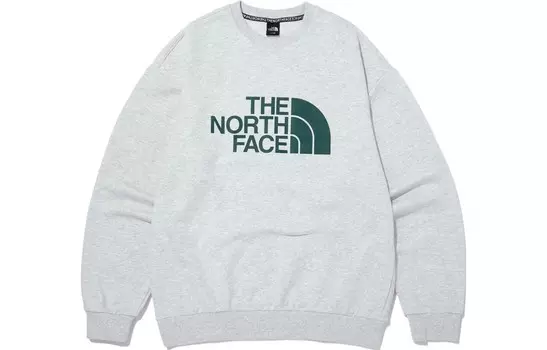 Толстовка мужская серая The North Face, серый