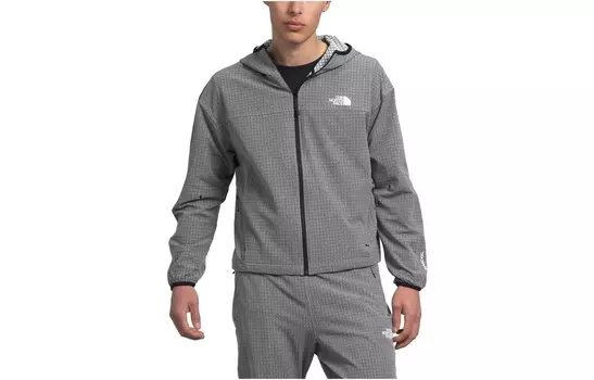 Толстовка мужская серая The North Face, серый