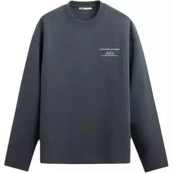 Толстовка мужская серая Zara, серый