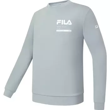 Толстовка мужская синяя/серая Fila, синий/серый