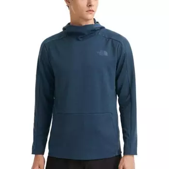 Толстовка мужская синяя The North Face, синий