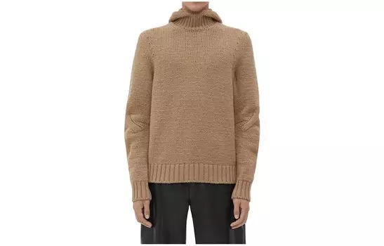 Толстовка мужская темно-кофейного цвета Bottega Veneta, цвет Dark Coffee
