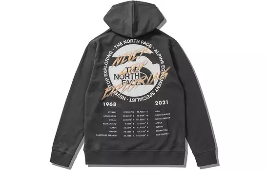 Толстовка мужская темно-серая The North Face, темно-серый