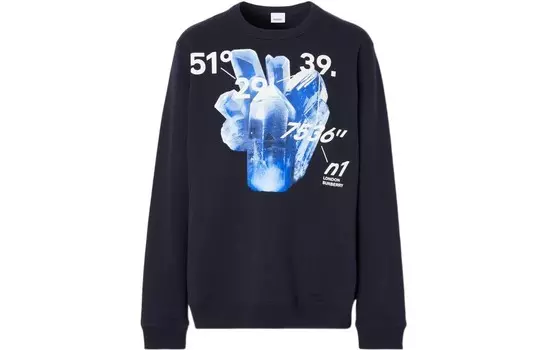 Толстовка мужская темно-синяя Burberry, синий