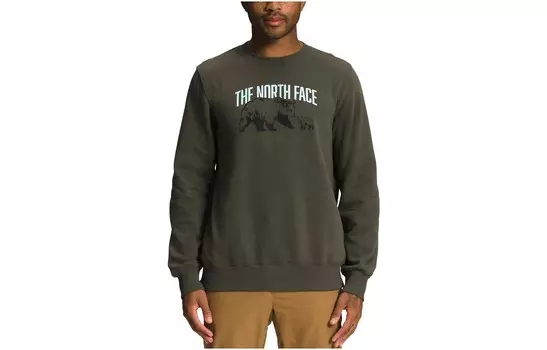 Толстовка мужская темного цвета The North Face, цвет Dark Color