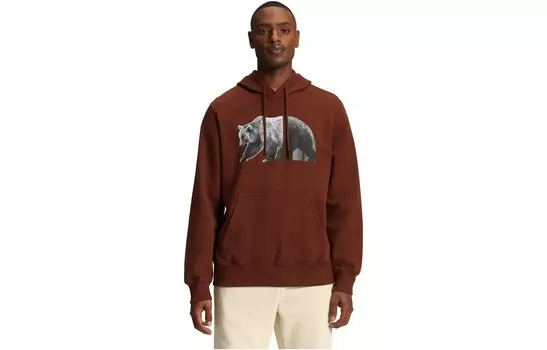 Толстовка мужская темный дуб The North Face, цвет Dark oak