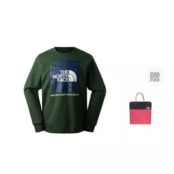 Толстовка мужская зеленая The North Face, зеленый