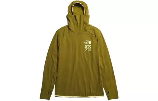 Толстовка мужская зеленая The North Face, зеленый