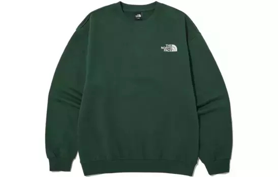 Толстовка мужская зеленая The North Face, зеленый