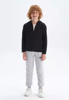 Толстовка на молнии Hooded Regular DAGI, черный