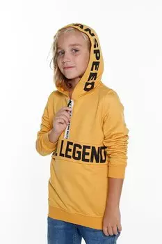 Толстовка на молнии с капюшоном для мальчиков 4–14 лет 14013 My Serenad, горчично-желтый
