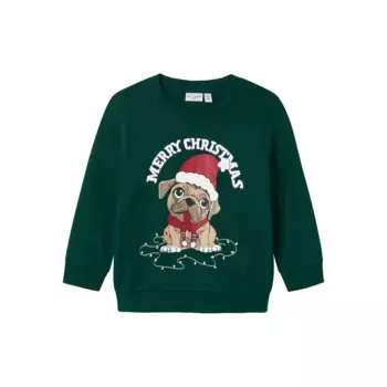 Толстовка Name It «NMMVISMAS LS NREG SWEAT BRU», цвет Botanical Garden