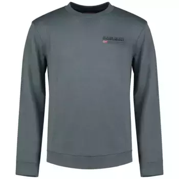 Толстовка Napapijri Kasba, серый