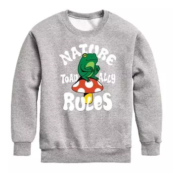 Толстовка Nature Toadally Rules для мальчиков 8–20 лет Licensed Character, серый