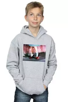 Толстовка «Нет места лучше дома» Wizard of Oz, серый