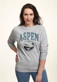 Толстовка NEXT STOP ASPEN Henry Tiger, цвет Mottled Light Grey