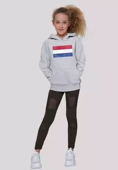 Толстовка NIEDERLANDE HOLLAND FLAGGE DISTRESSED F4NT4STIC, цвет heather grey