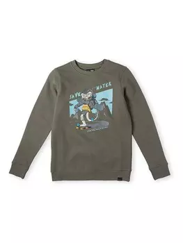 Толстовка O'Neill, хаки