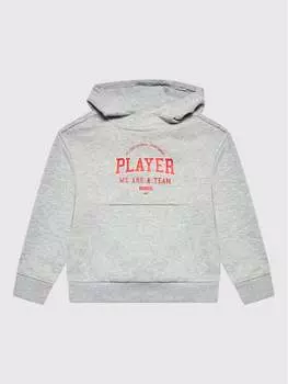 Толстовка обычного кроя 4F, серый