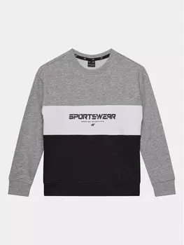 Толстовка обычного кроя 4F, серый