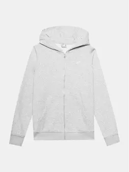 Толстовка обычного кроя 4F, серый