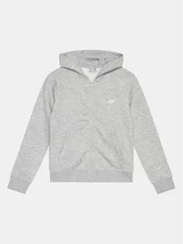 Толстовка обычного кроя 4F, серый