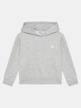 Толстовка обычного кроя 4F, серый