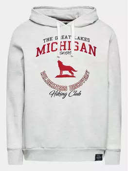 Толстовка обычного кроя Brave Soul, серый