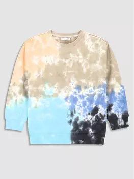 Толстовка обычного кроя Coccodrillo, мультиколор