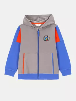 Толстовка обычного кроя Coccodrillo, мультиколор