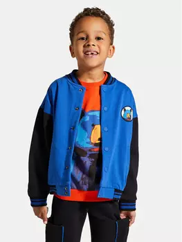 Толстовка обычного кроя Coccodrillo, мультиколор