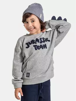 Толстовка обычного кроя Coccodrillo, серый