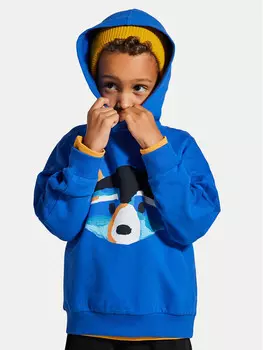 Толстовка обычного кроя Coccodrillo, синий