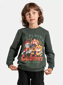 Толстовка обычного кроя Coccodrillo, зеленый