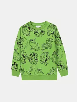 Толстовка обычного кроя Coccodrillo, зеленый