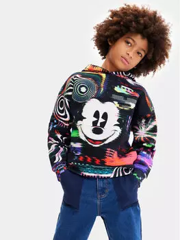 Толстовка обычного кроя Desigual, черный