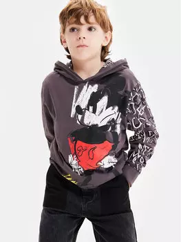 Толстовка обычного кроя Desigual, серый