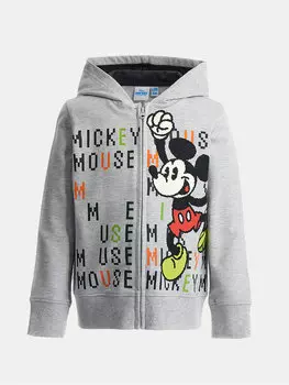 Толстовка обычного кроя DFPV2020CM Original Marines, серый