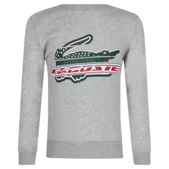 Толстовка обычного кроя Lacoste, серый