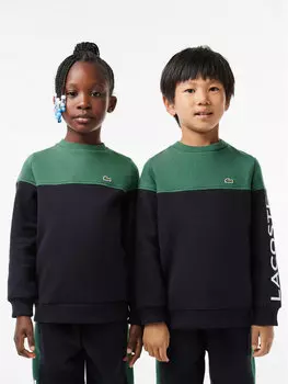 Толстовка обычного кроя Lacoste, зеленый