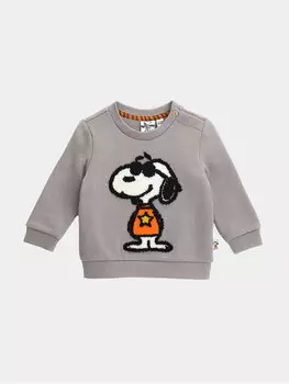 Толстовка обычного кроя Original Marines, серый