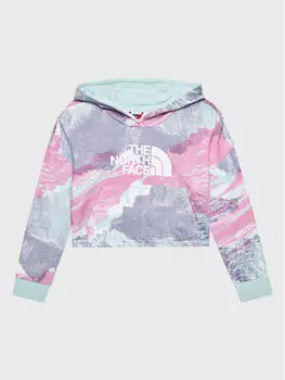 Толстовка обычного кроя The North Face, мультиколор