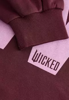 Толстовка OFFICIAL WICKED MOVIE LICENSE VARSITY GRAPHIC VEE NECK Next, красный