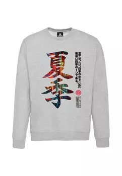 Толстовка Oldskull Asian Kanji Street, серый