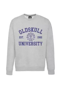 Толстовка Oldskull Retro University, серый